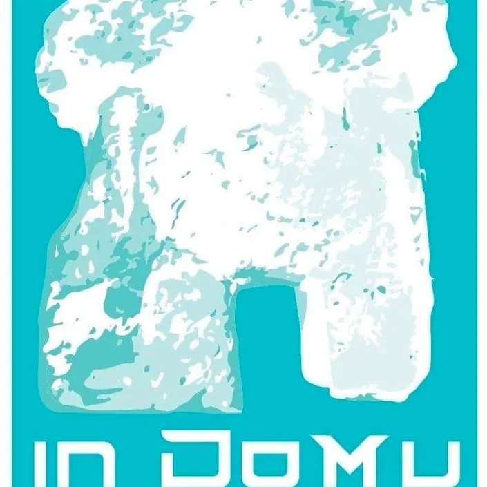 Agenzia Immobiliare Indomu
