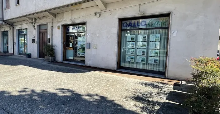 GALLO Case